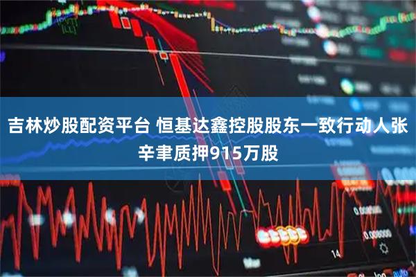 吉林炒股配资平台 恒基达鑫控股股东一致行动人张辛聿质押915万股